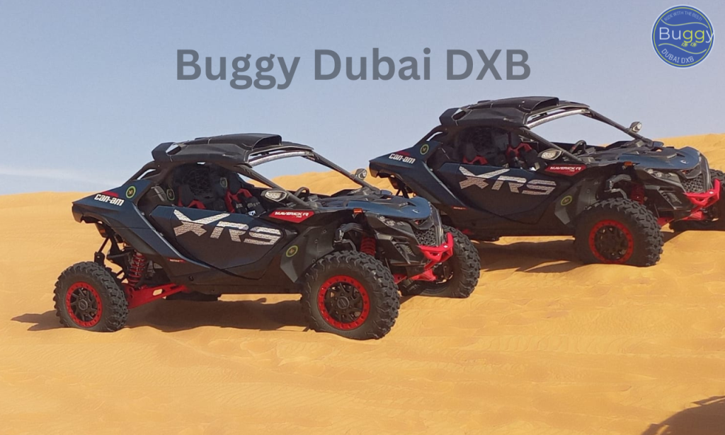 How to Choose the Right Buggy Tour in Dubai?