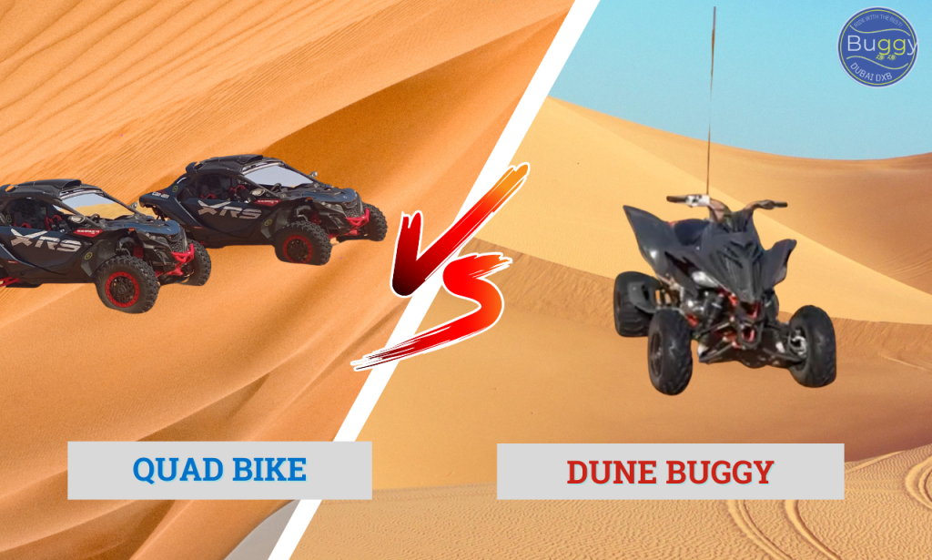 Quad Biking vs Dune Buggies: Which is Best for You in Dubai? 